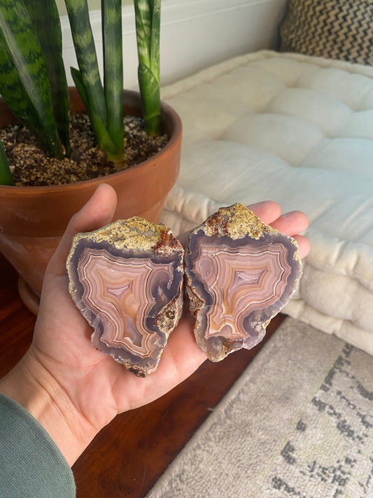 Laguna Agate Pair