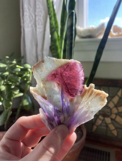 Russian Tourmaline with Purple Lepidolite and Clevelandite Slice