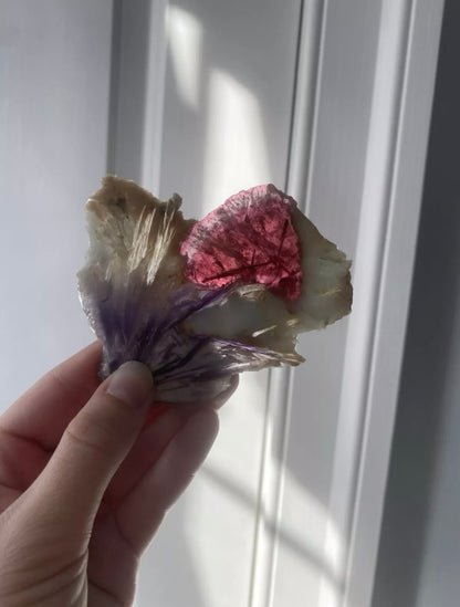 Russian Tourmaline with Purple Lepidolite and Clevelandite Slice