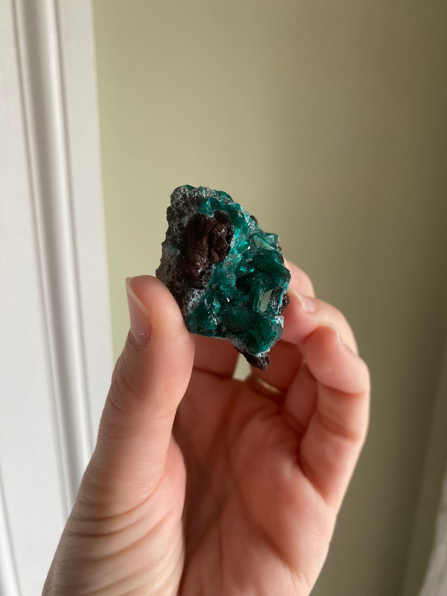 Gemmy Dioptase Cluster