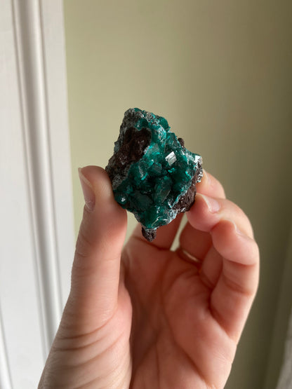 Gemmy Dioptase Cluster