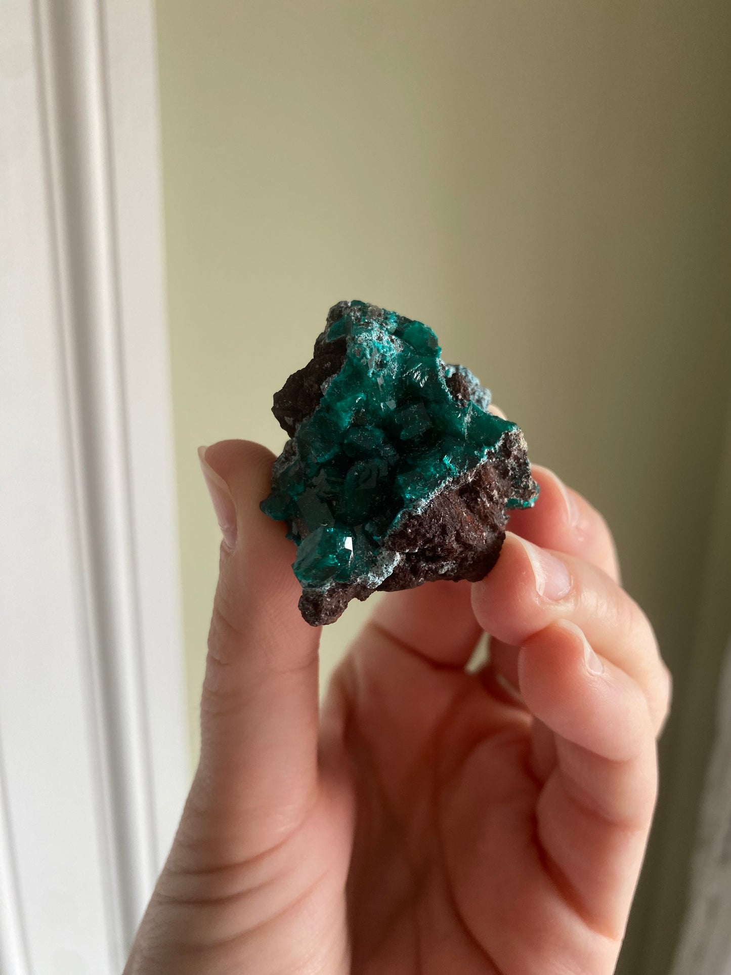 Gemmy Dioptase Cluster