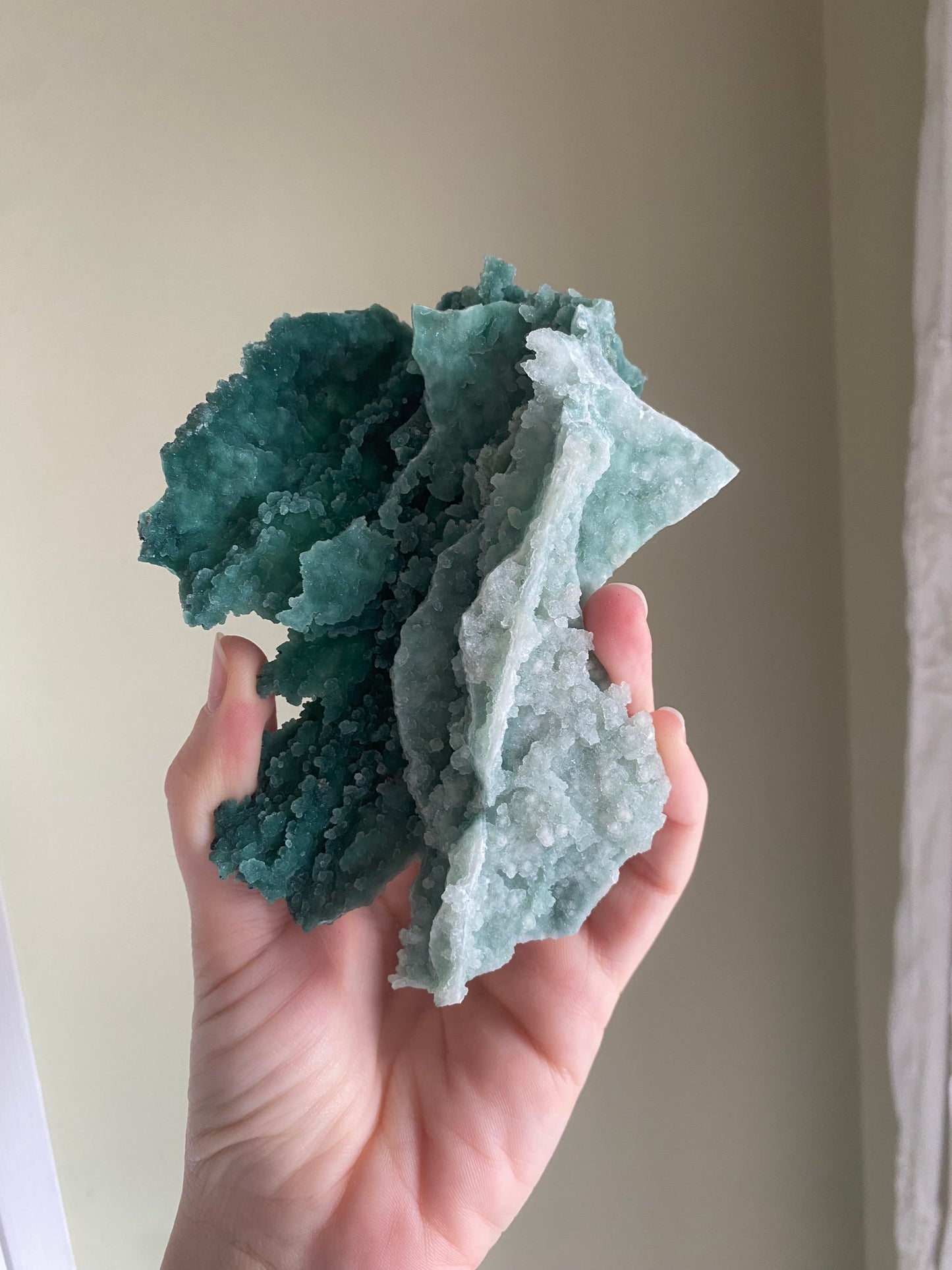 Marshy Green Apophyllite