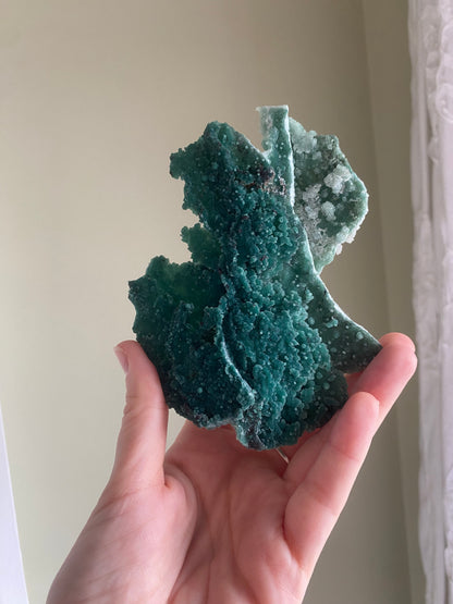 Marshy Green Apophyllite