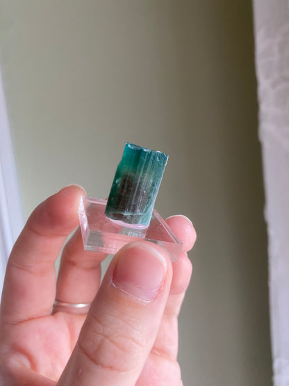 Terminated Watermelon Tourmaline w/ Blue Cap