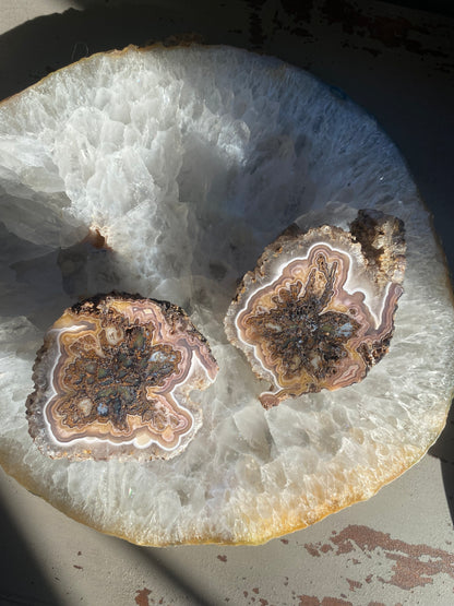 Coyamito Agate Pseudomorph Pair