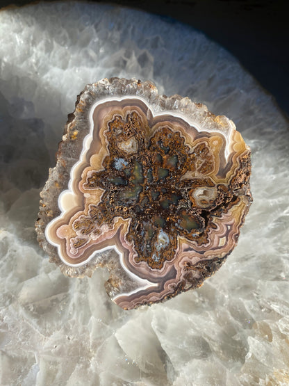 Coyamito Agate Pseudomorph Pair