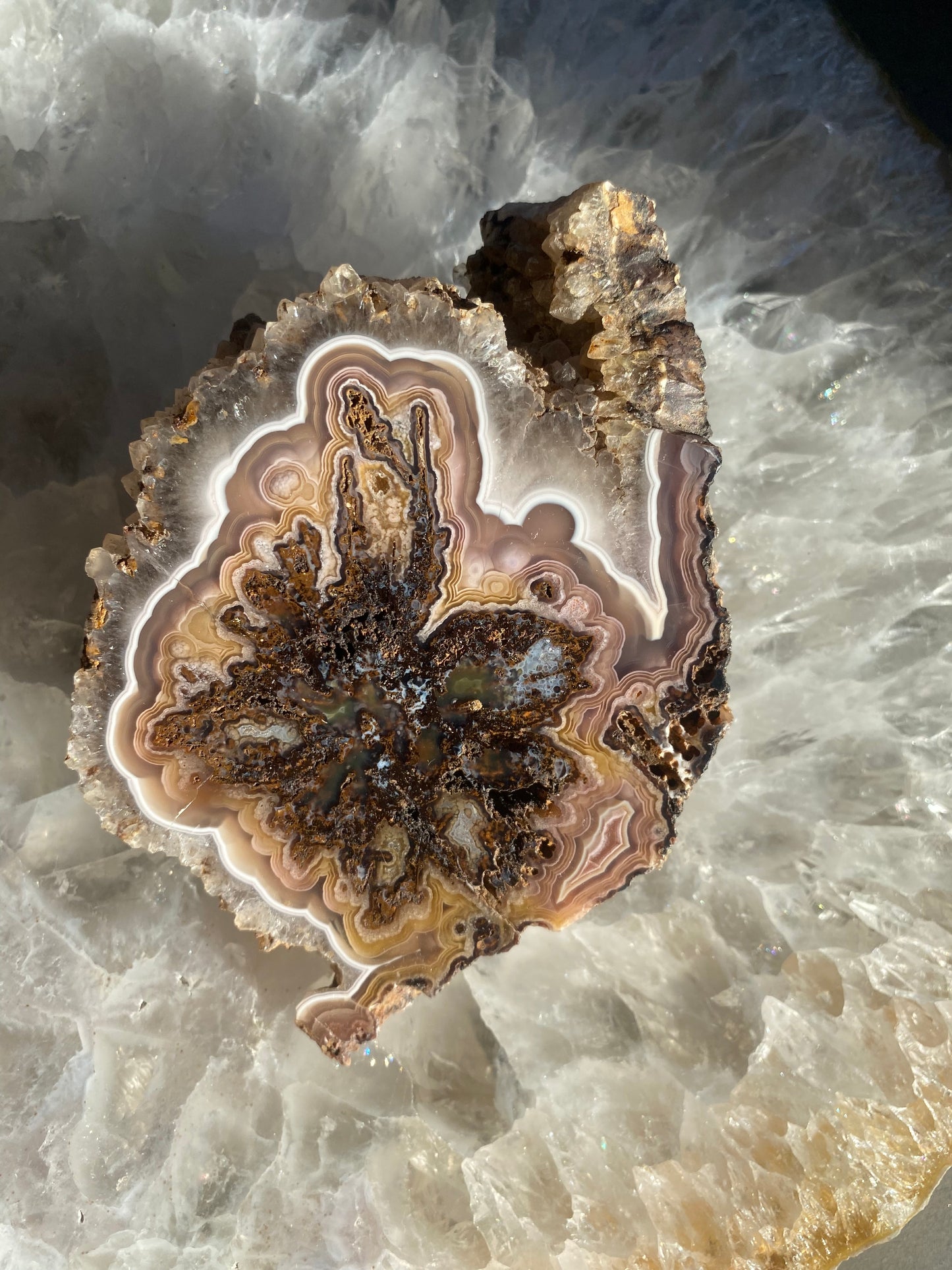 Coyamito Agate Pseudomorph Pair