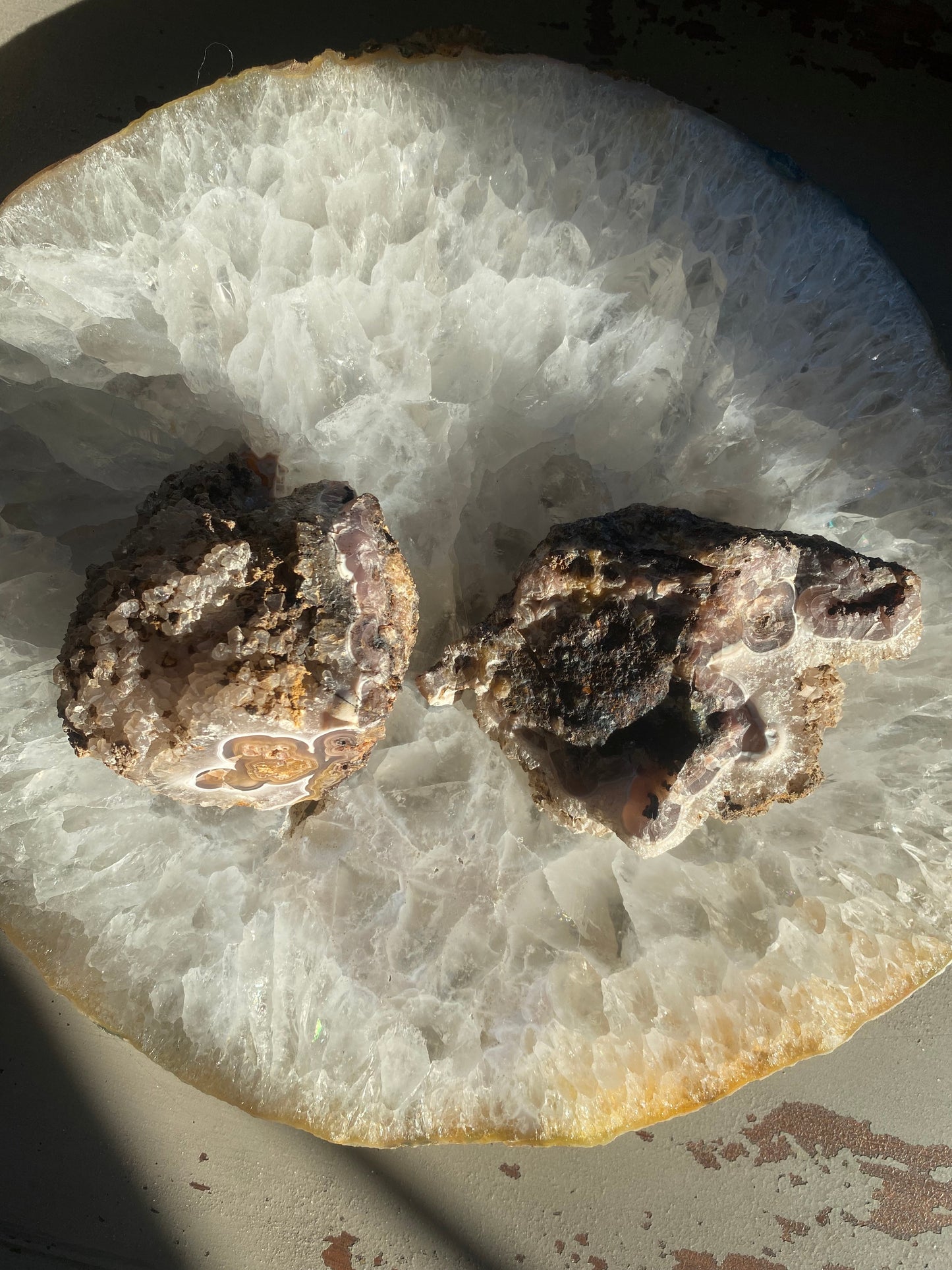 Coyamito Agate Pseudomorph Pair