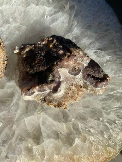 Coyamito Agate Pseudomorph Pair