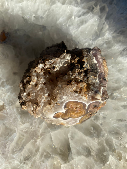 Coyamito Agate Pseudomorph Pair