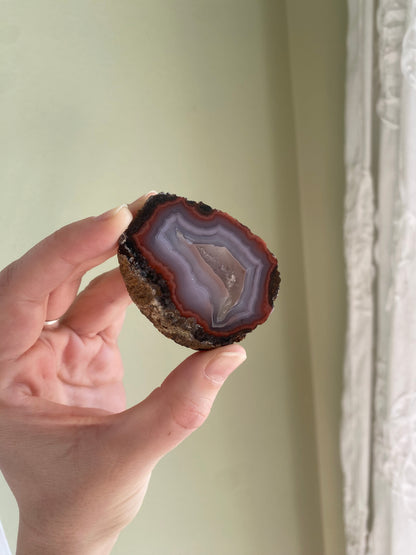 Coyamito Agate