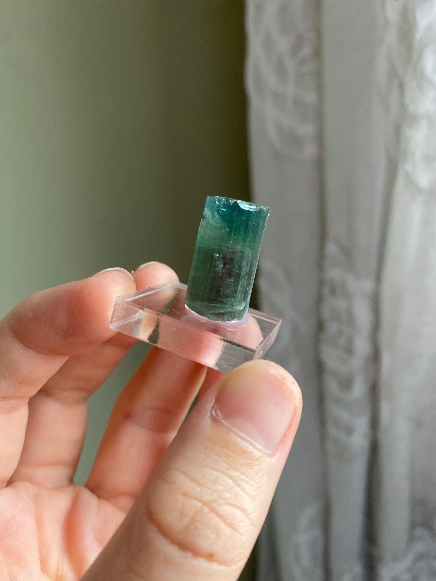 Rare Pederneira Mine Terminated Tourmaline w/ Blue Cap