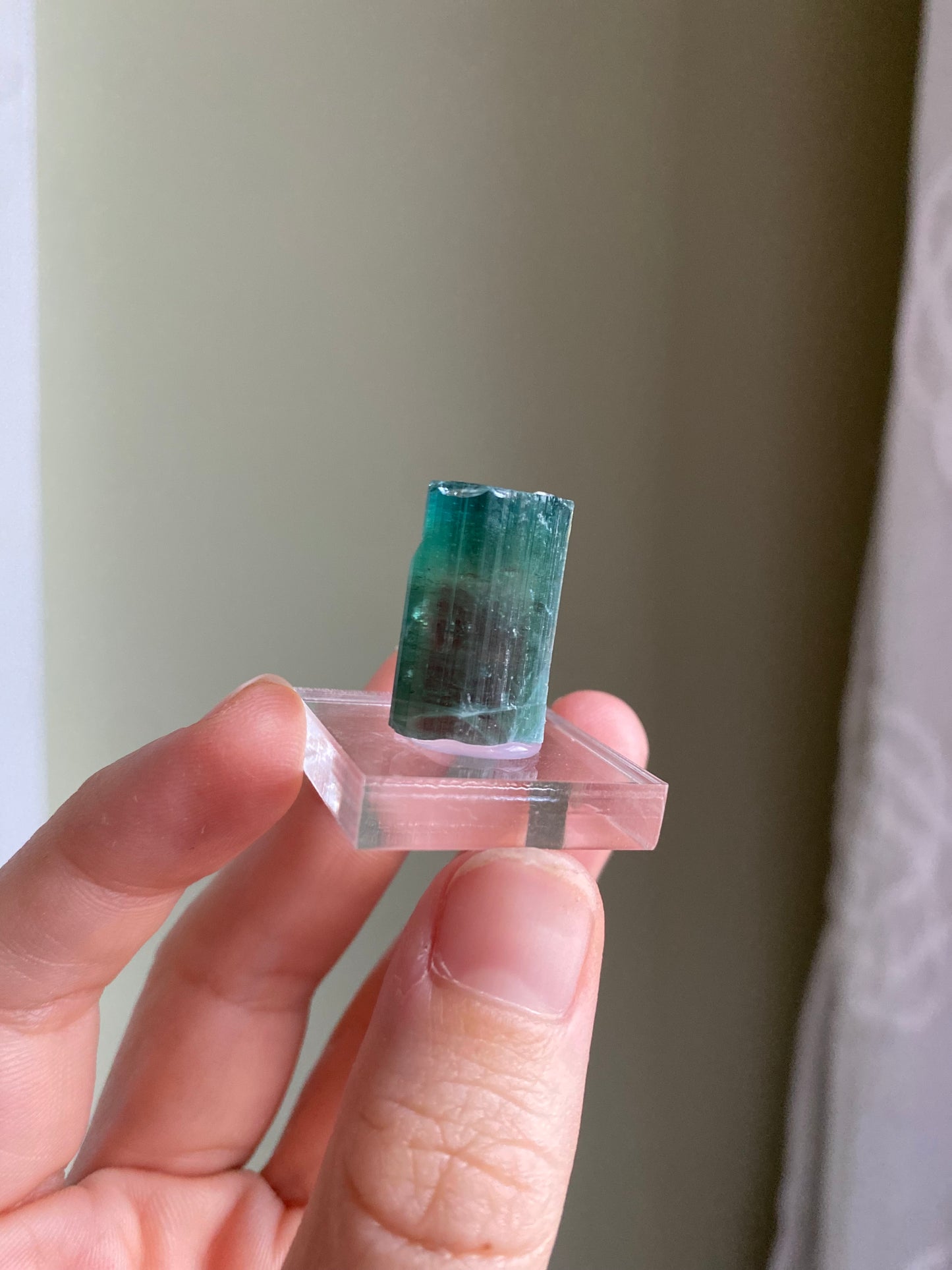 Rare Pederneira Mine Terminated Tourmaline w/ Blue Cap