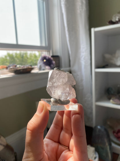 Pink Optical Calcite w/ Dogtooth Calcite Specimen (Hubei, China)