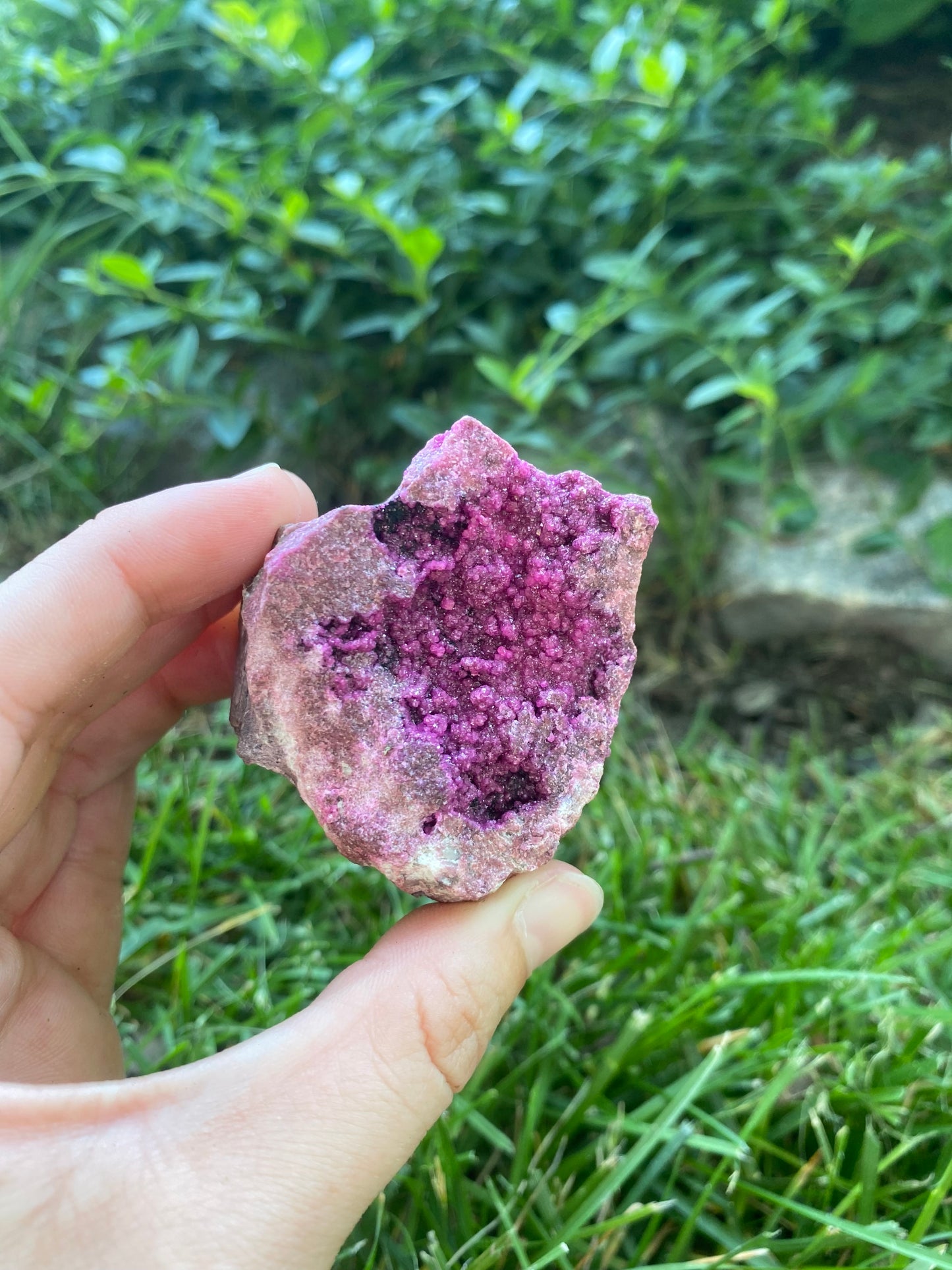 Raw Druzy Pink Cobalto Calcite on Rock Matrix