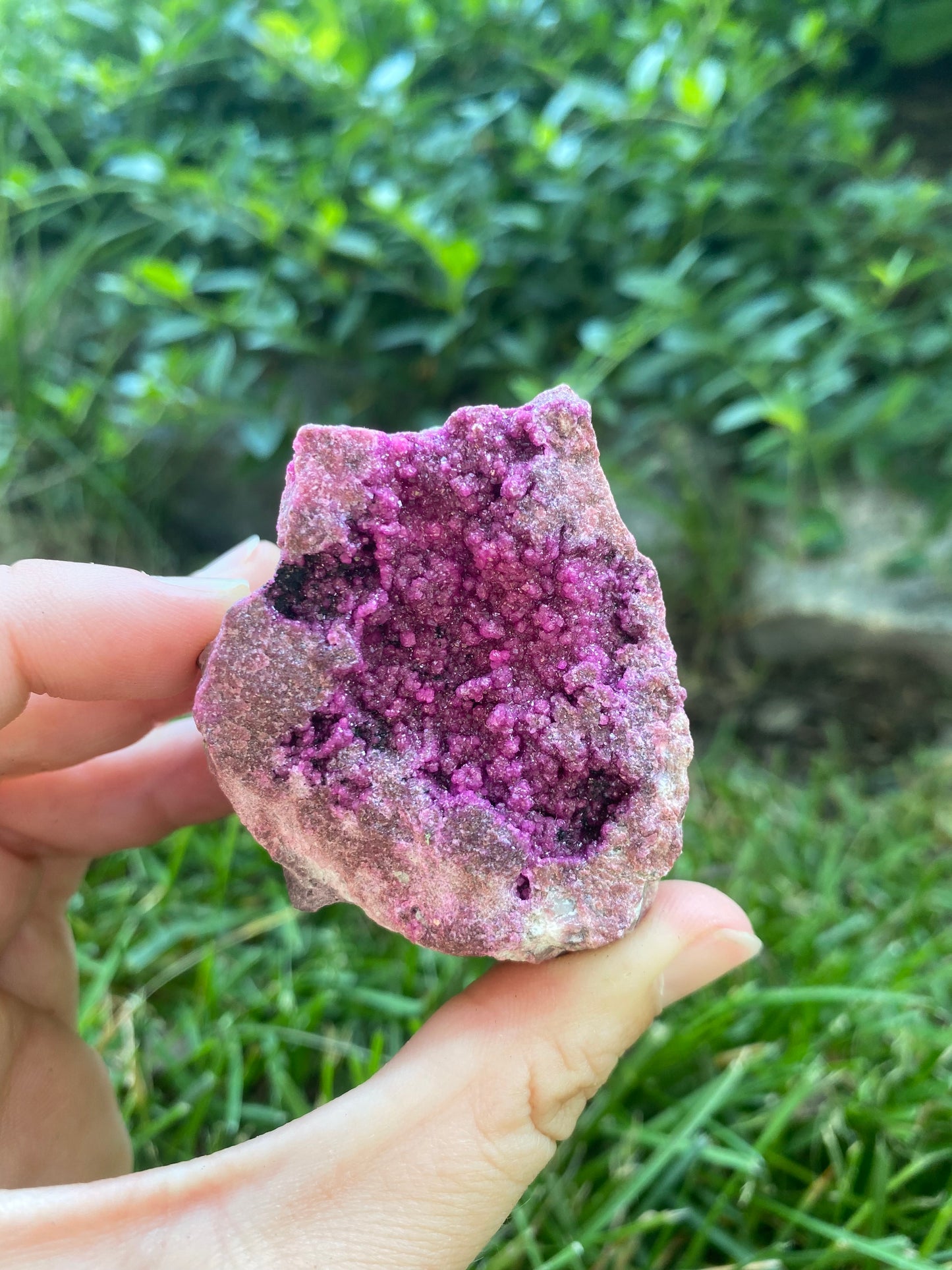 Raw Druzy Pink Cobalto Calcite on Rock Matrix