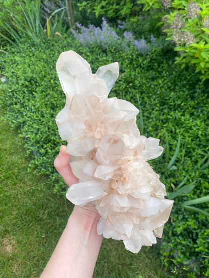 XL Pink Himalayan Samadhi Quartz Cluster