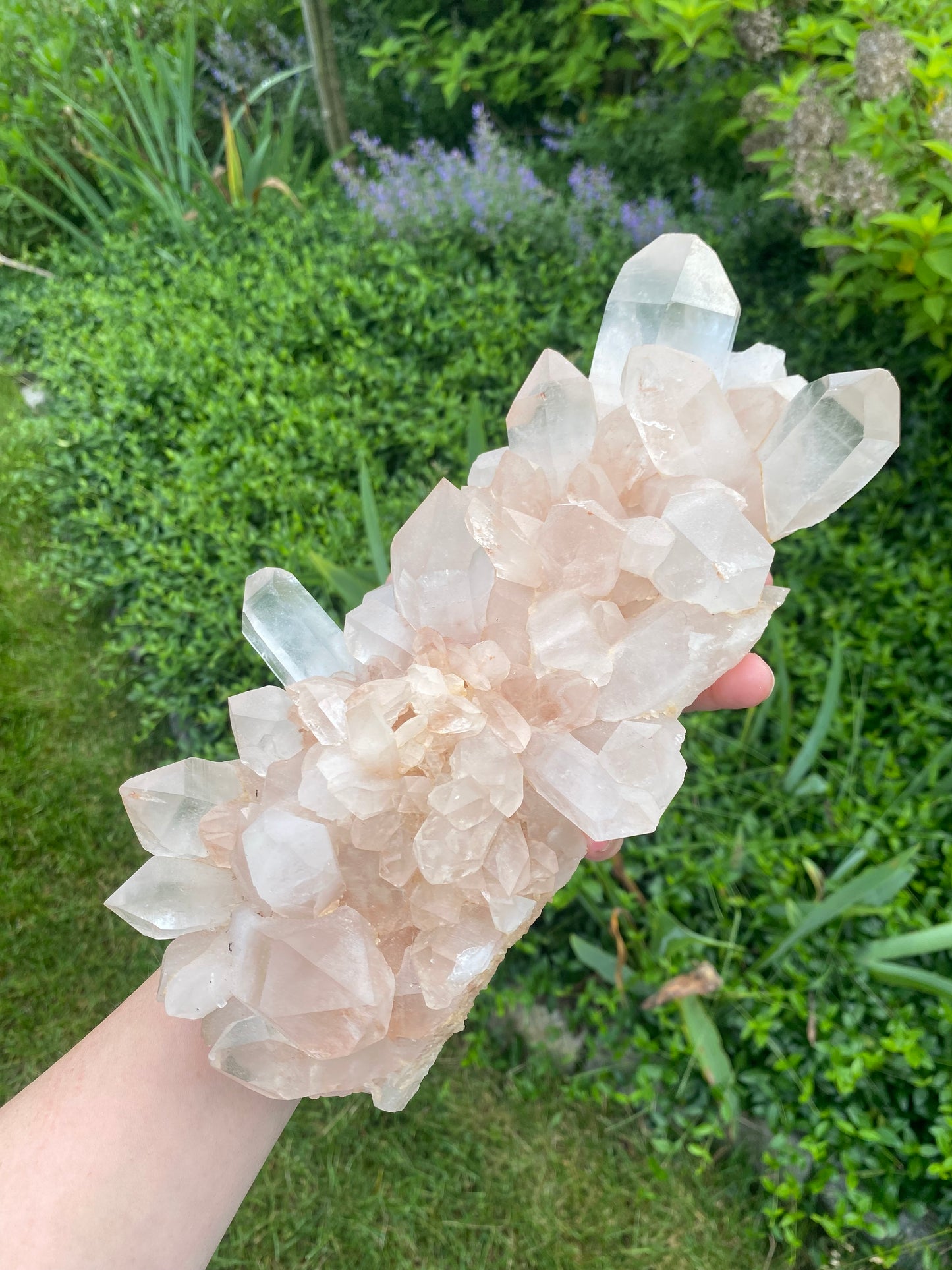 XL Pink Himalayan Samadhi Quartz Cluster