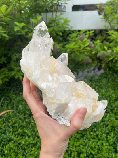 Large Rare Colombian Golden Lemurian Quartz Cluster