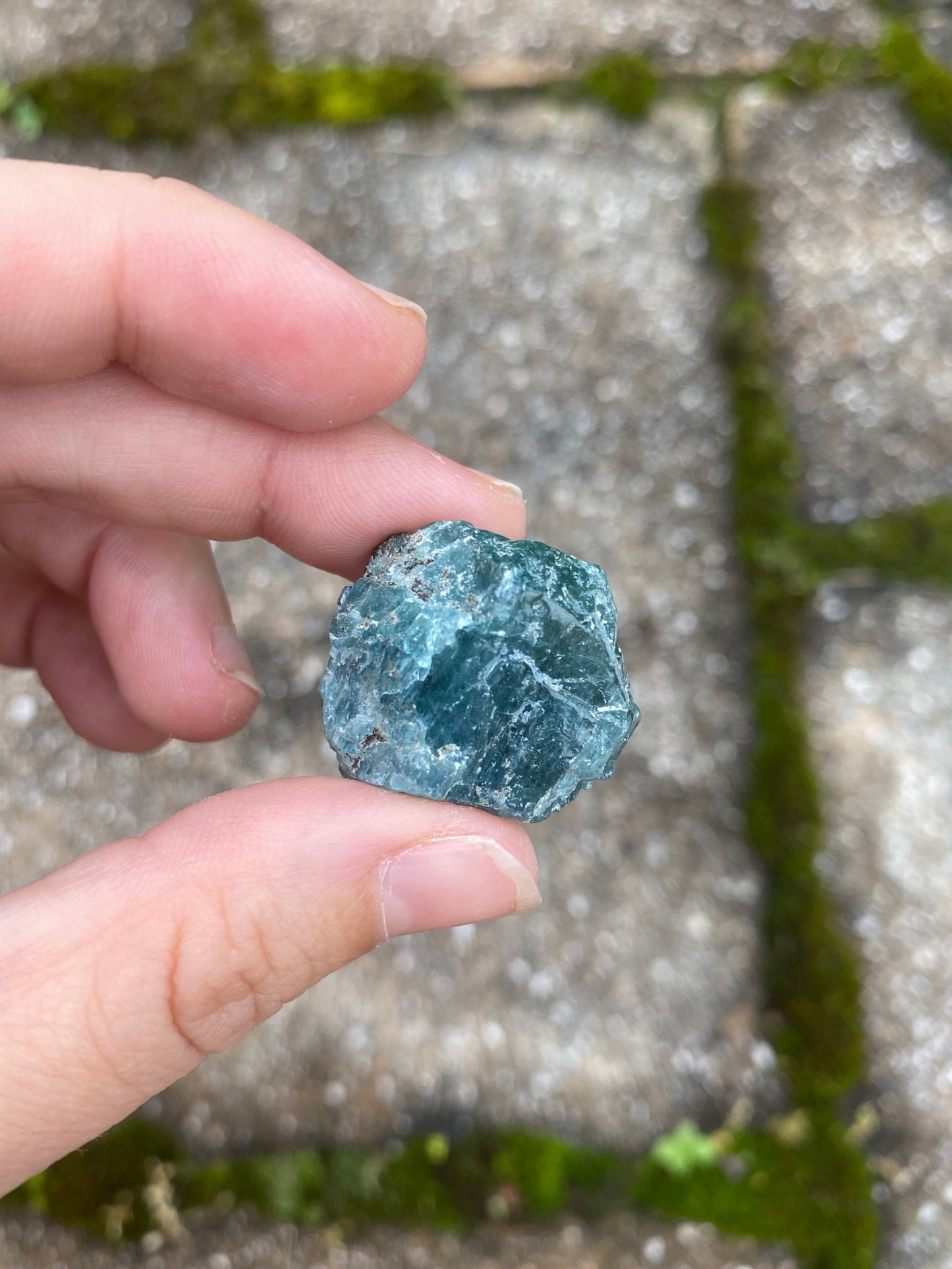 Baikal Apatite (Fluorapatite) - L