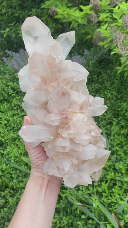 XL Pink Himalayan Samadhi Quartz Cluster