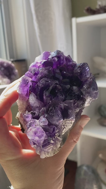 Juicy Brazilian Amethyst Point Cluster