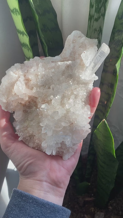 Pink Himalayan Samadhi Quartz Plate