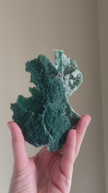 Marshy Green Apophyllite