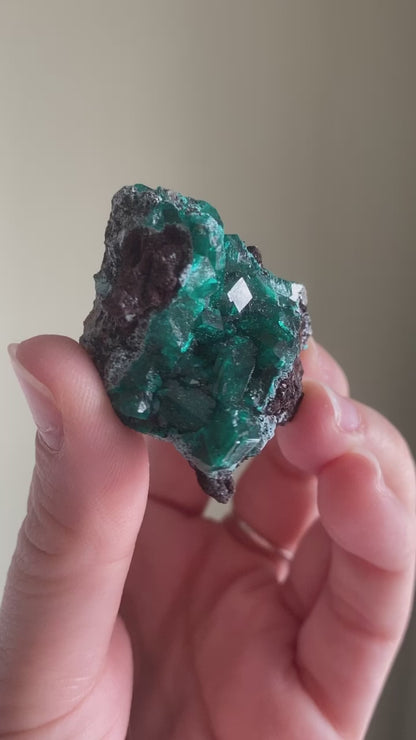 Gemmy Dioptase Cluster